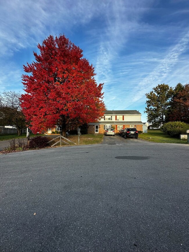 Building Photo - Spacious 3 Bedroom Home in Lititz