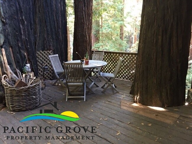 Foto del edificio - Cabin on Palo Colorado