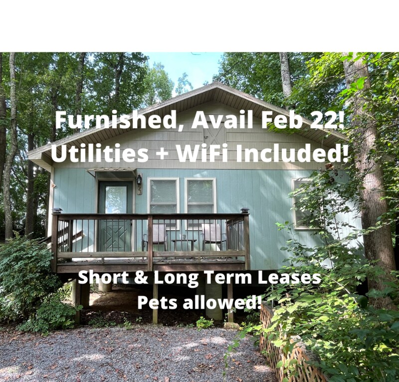 123 Voncannon Dr Unit A, Johnson City, TN 37601 Condo for Rent in