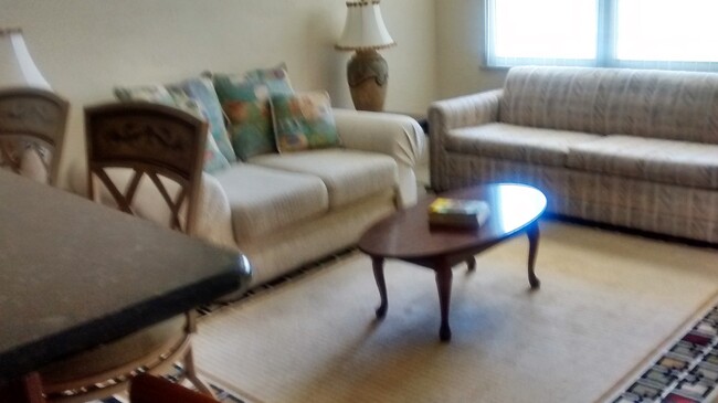 Furnished Living Room - 4565 Duhme Rd