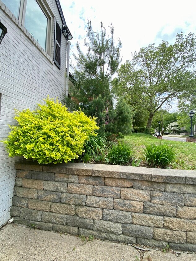 Primary Photo - 815 Morewood Ave
