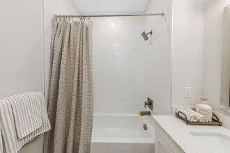 Interior Photo - Everest Largo Apartments