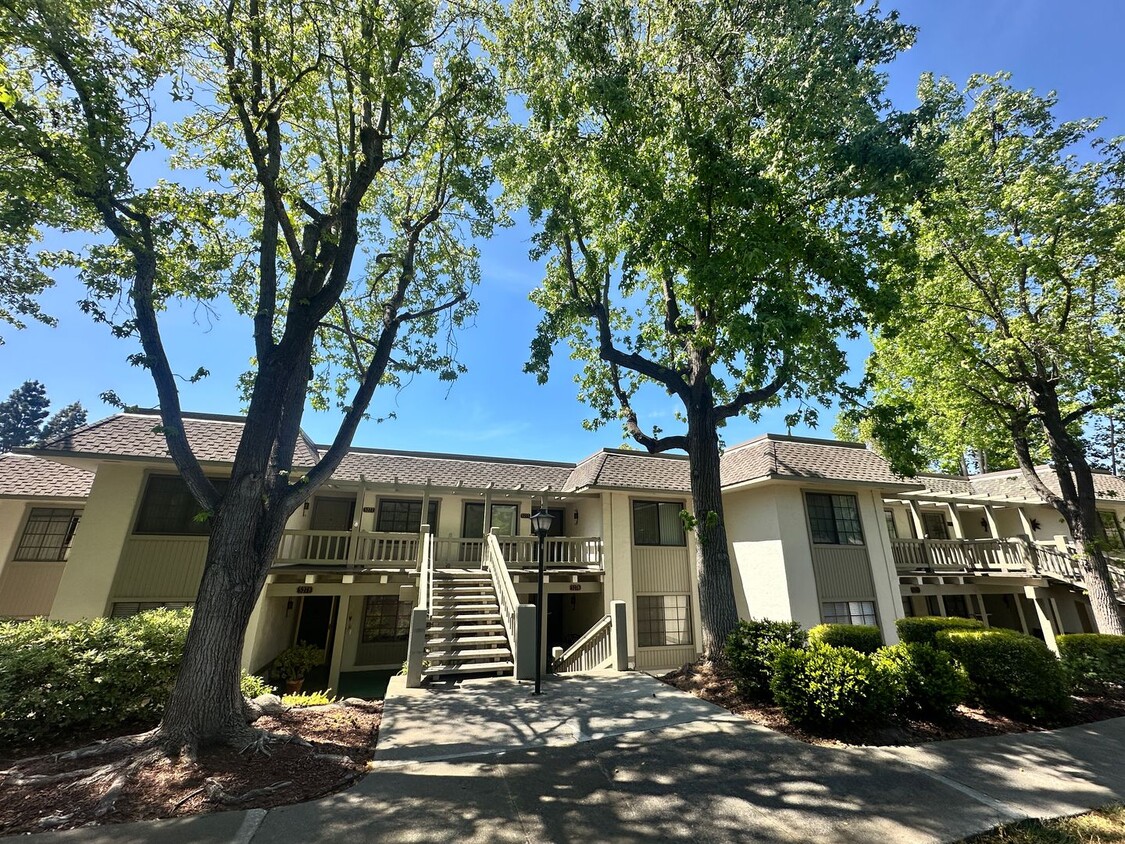 Primary Photo - Spacious 2 Bedroom 2 Bathroom Unit in The ...