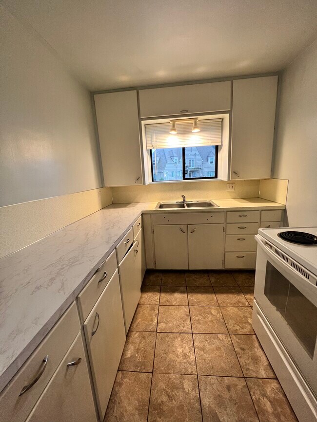 kitchen with lots of counter space - 118 W Birch St