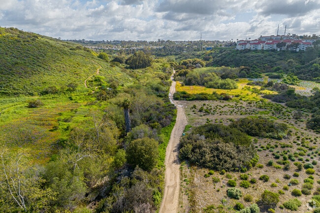 Tecolote Canyon Hiking Trails