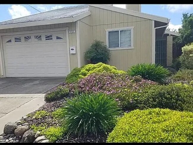 Building Photo - 5327 Hillsdale Blvd