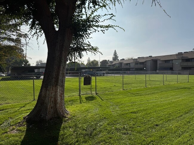 Dog Park - The Laurel Tree Apartments