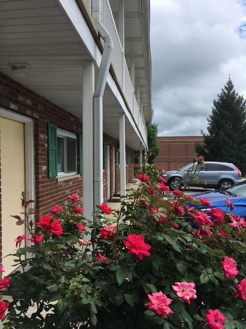 Entry Level - Sunflower Place - Full Unit for Rent