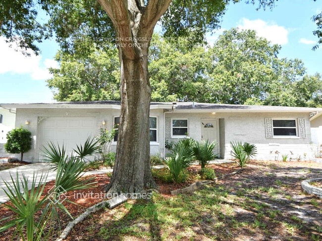 Building Photo - 221 Morgan Ct