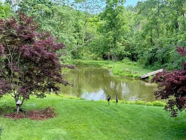 The wildlife pond. - 650 Van Wagner Rd