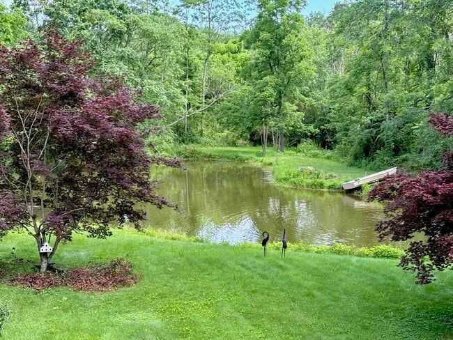 The wildlife pond. - 650 Van Wagner Rd