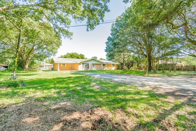 Building Photo - Large 4Bed/2Bath House on Beautiful Lot