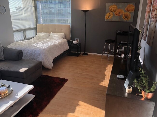 Living Room - 440 N Wabash Ave Apartment