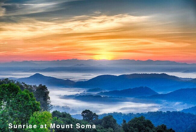Sunrise at Mount Soma - 95 Mount Soma Blvd Apartment