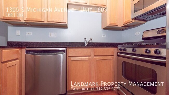 Building Photo - 1305 S Michigan Ave #1609