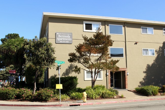Bermuda Apartments San Mateo Bermuda Apartments San Mateo