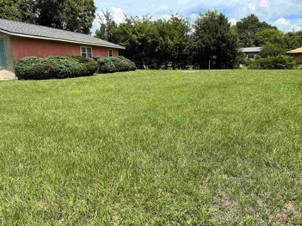 Building Photo - 100 Chuck Cir