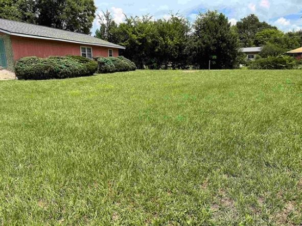 Foto del edificio - 100 Chuck Cir