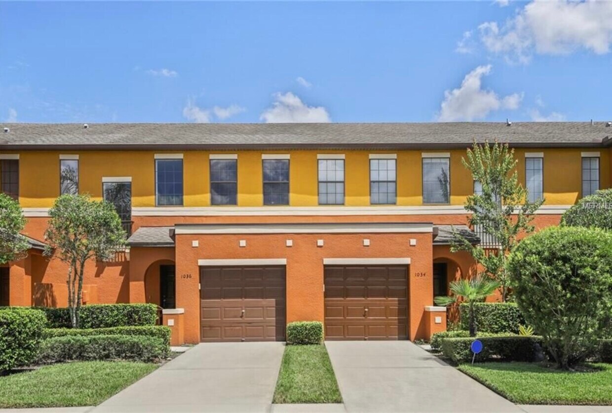 1036 Tullamore Dr, Wesley Chapel, FL 33543 Townhome Rentals in Wesley