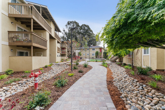 Building Photo - Vista Creek Apartments