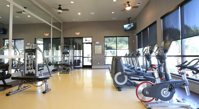 Fitness Center - Cortland North Haven