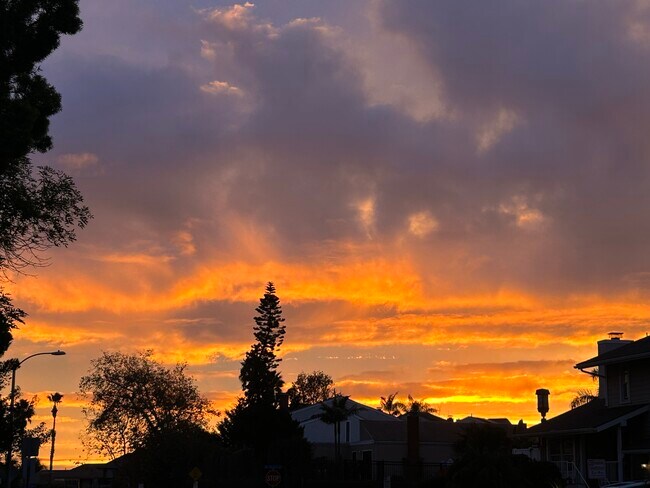 Vista desde la sala de estar - 24432 Alta Vista Dr