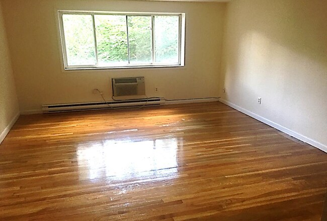 Building Photo - 255 Elm St