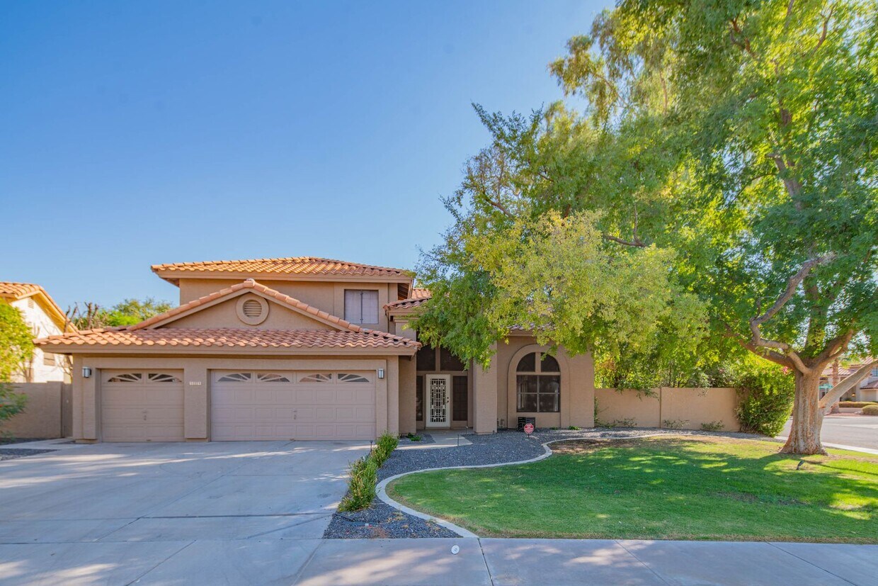 Primary Photo - 5 Bed 3 bath House with Pool in dynamic so...