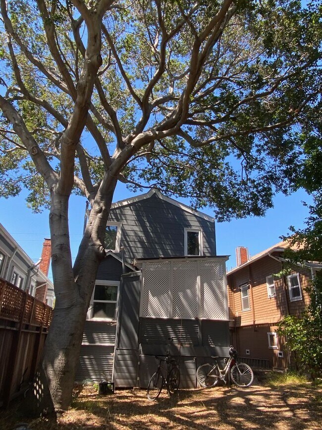 Foto del edificio - Spacious, Quiet N. Berk. House w/ a Large Private Backyard