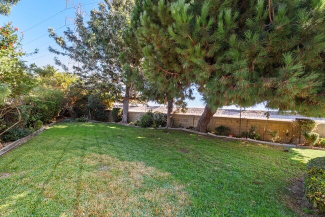 Backyard - 20662 Spindrift Ln