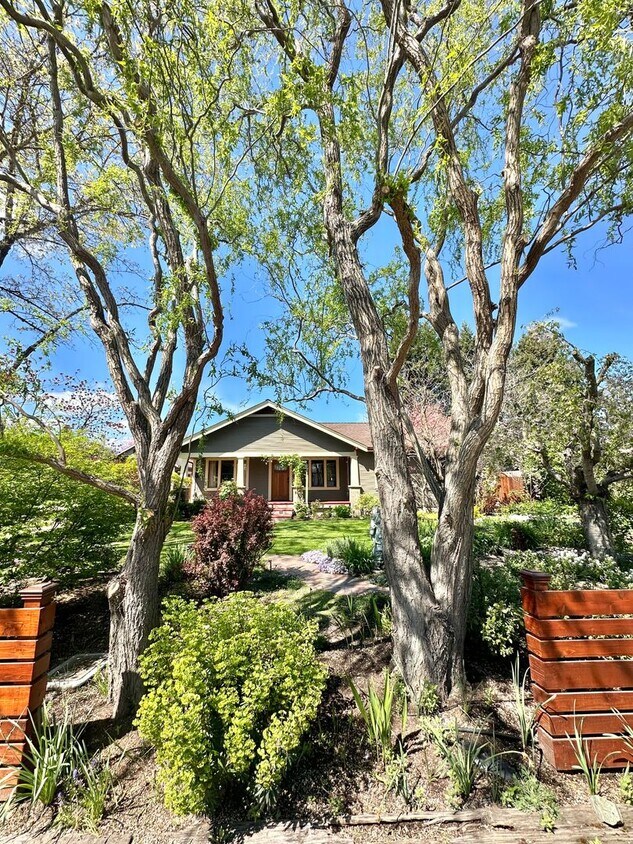 Foto principal - 3 Bedroom 2 Bath House