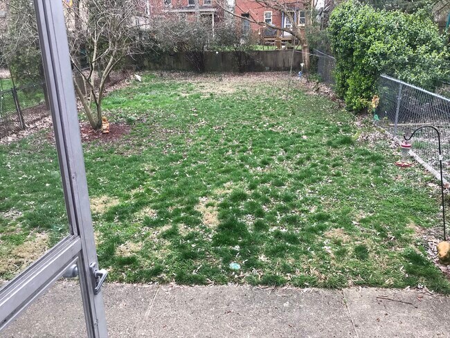 Patio trasero compartido. - 2221 Oakland Ave