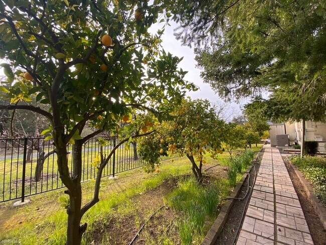 Foto del edificio - 4 br, 2 bath House - 5270 Silverado Trail #