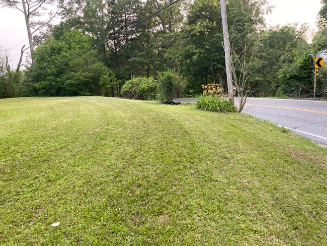 Building Photo - 205 Lick Creek Rd