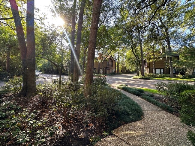 Foto del edificio - 11711 Memorial Dr