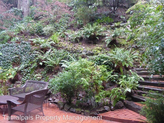 Foto del edificio - 3 br, 2 bath House - 63 Cascade Drive