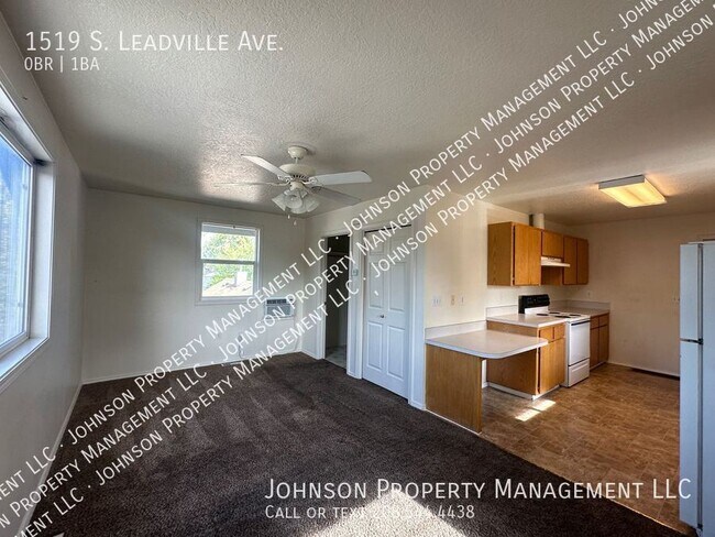 Foto del edificio - 1519 S Leadville Ave