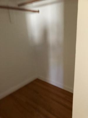 Walk-in Closet in BR - 1024 1/2 N Sweetzer Ave