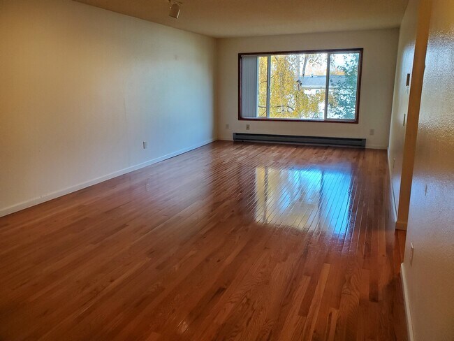 Living Room - 3100 Ward Pl