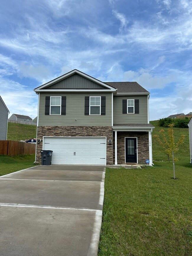 Building Photo - 5 Bedroom / 3 Bath Home Kingsport, TN