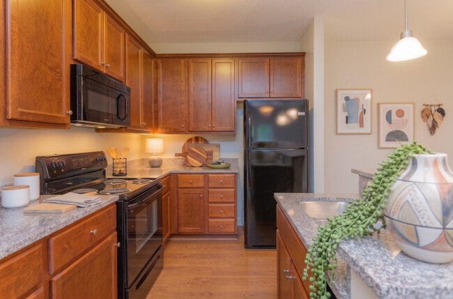 One Bedroom at Alexander Pointe in Mebane NC - Alexander Pointe Apartments