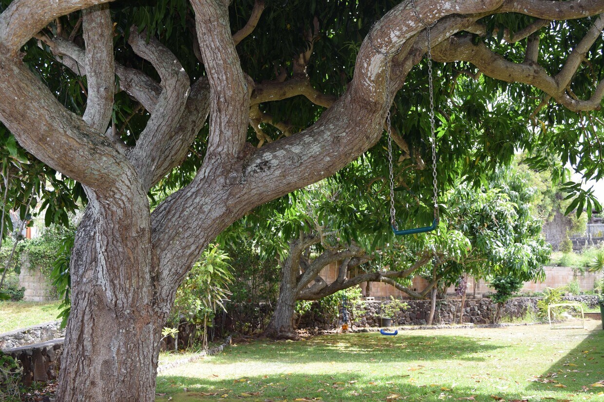 Primary Photo - 1438 Mapuana Pl