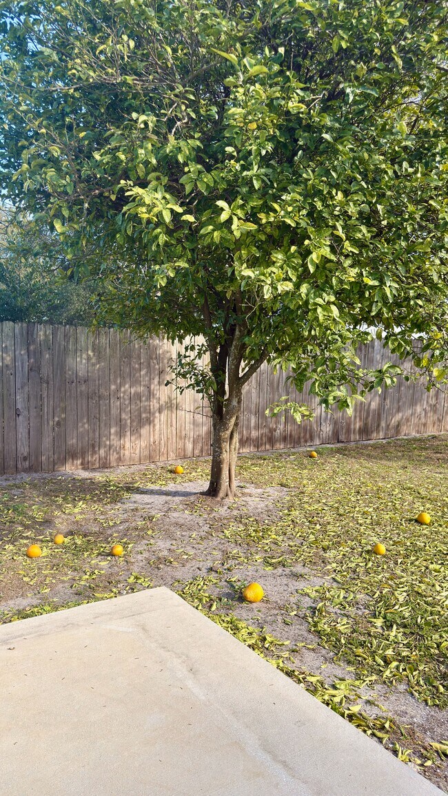 Foto del edificio - 6910 Corkwood Rd