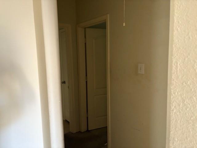 Foto del edificio - 20834 Twila Springs Dr