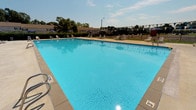 The Main Pool is a well-appointed outdoor aquatic facility centered around a large, rectangular swimming pool filled with clear, inviting blue water. The pool features clearly marked depth indicators and is accessible via metal handrails, making entry safe and convenient for swimmers of all ages. Surrounding the pool is a generous paved deck area furnished with lounge chairs and shaded umbrella seating, providing ample space for relaxation under open skies. Colorful pennant banners are strung across the area, adding a festive atmosphere to the setting. Mature trees and landscaping line the perimeter, offering a natural backdrop and additional shade. An enclosed support building adjoins the pool area and includes a covered entrance corridor fitted with large windows that overlook the pool. This corridor houses a beverage vending machine and provides a transitional space between the building interior and the poolside. The building itself is constructed of classic brick and features posted pool rules, safety signage, and emergency information prominently displayed at the entry door. Notable amenities include free Wi-Fi available in the pool area. The facility operates without a lifeguard on duty, and pool rules are clearly communicated throughout. The overall ambiance is casual, community-oriented, and well-suited for recreational swimming and outdoor leisure.