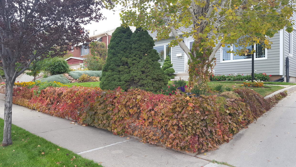 Nice one bedroom basement apartment. Close to everything - 1501 S 2300 E