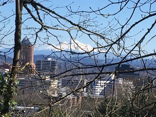 View from one of the upper windows - 1689 SW Montgomery Dr.