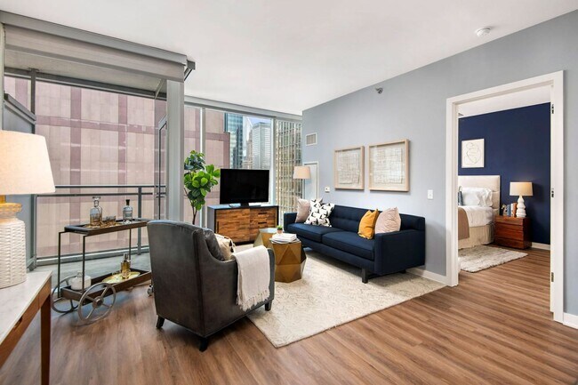 Model Unit - 210 W Kinzie St
