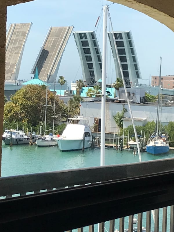 Photo - 12500 Capri Cir N Apartment