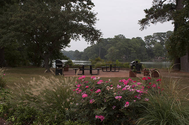 Con vista al lago - Falcon Point Apartment Homes